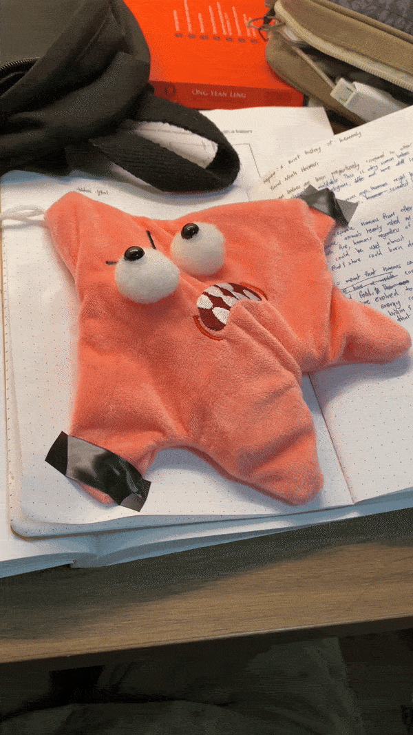 🔥This week's hot sale🔥Angry Starfish Plush Toy