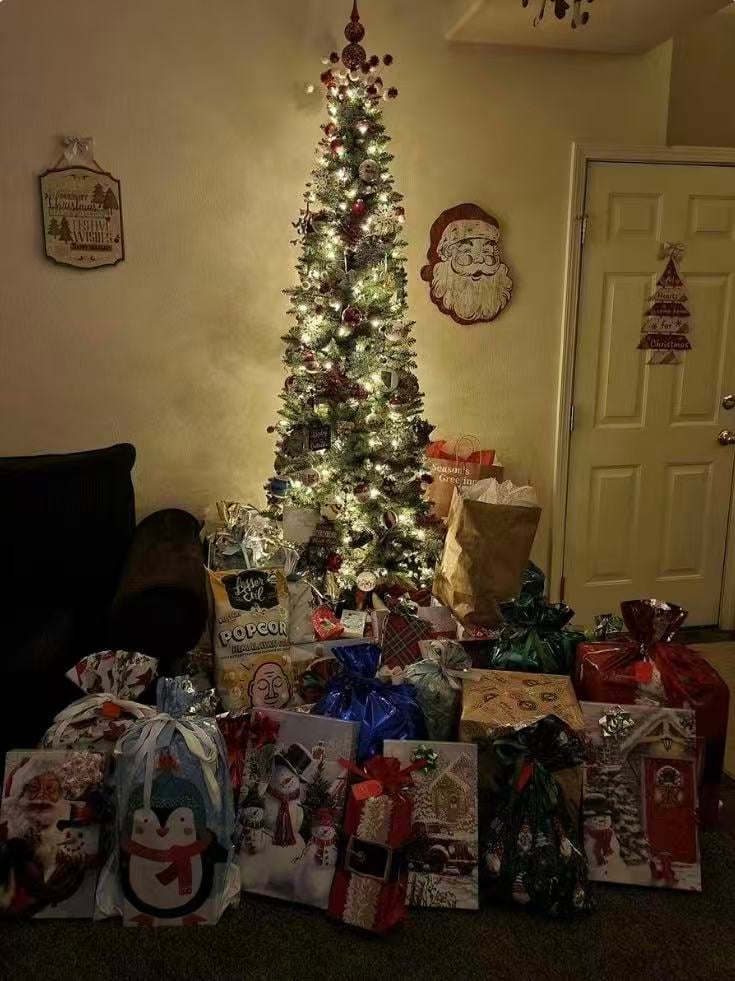 🎁49% OFF🎁Kringle Express 50-piece Gift Bag & Tags Set