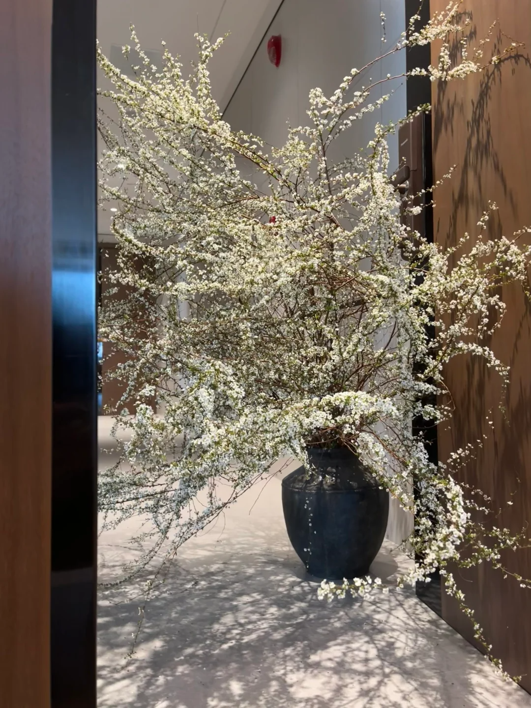 🔔50% off-A snowflake at home in winter ❄️~ Snow Willow