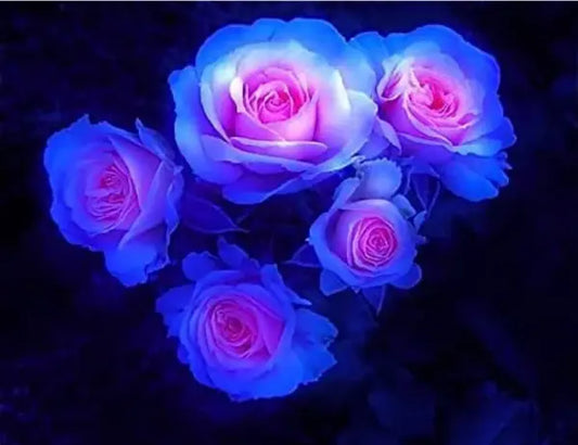 Rare Moon Rose Seeds